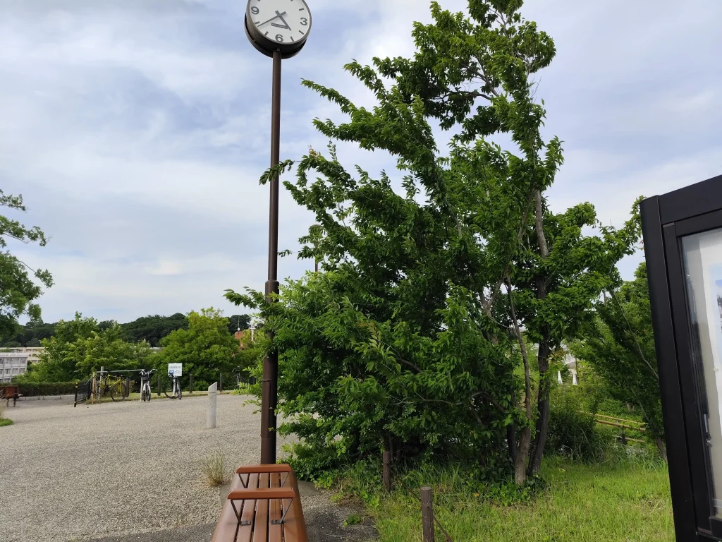 公園の時計